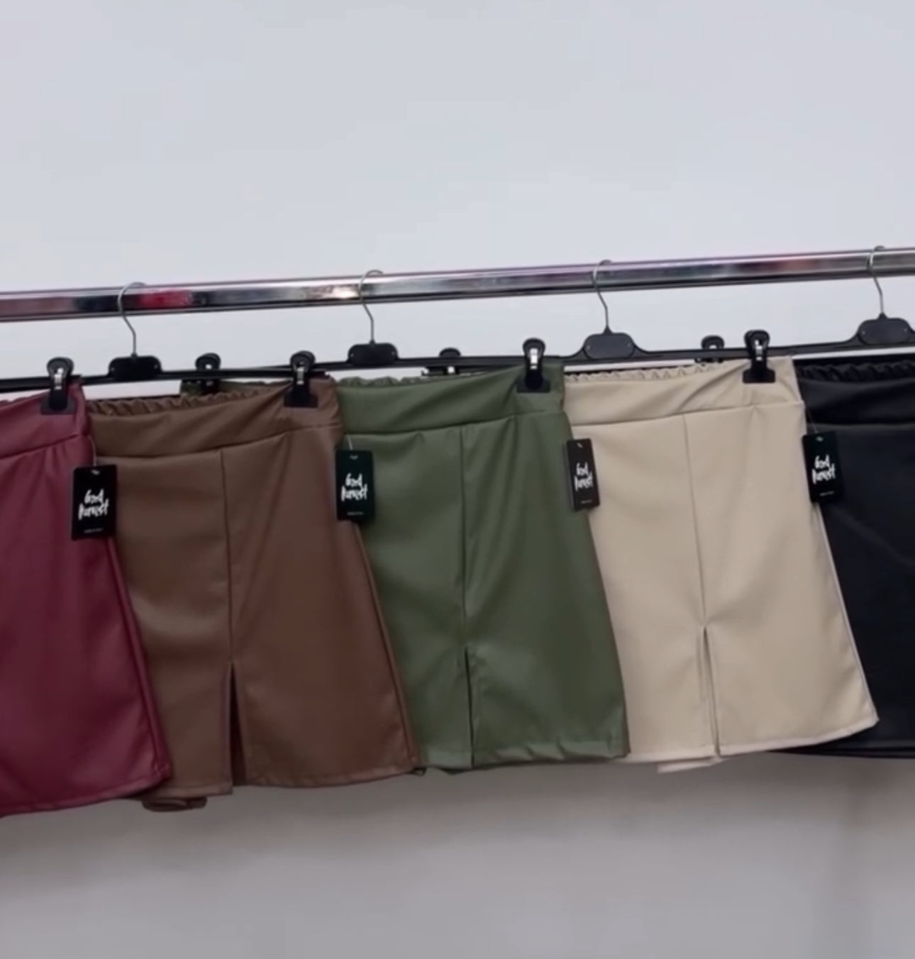 Pantagonna similpelle